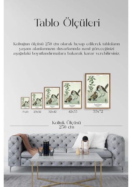 Kuşlar Ahşap Çerçeveli Tablo indirimleri