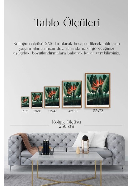 The Queen Plant Ahşap Çerçeveli Tablo indirimleri