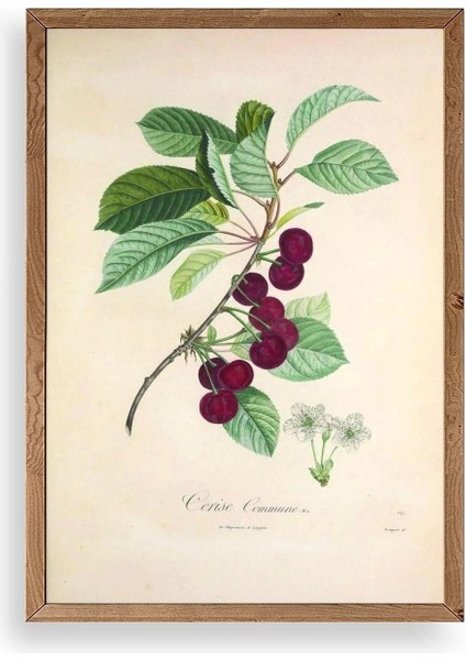 Meyveler Ahşap Çerçeveli Tablo