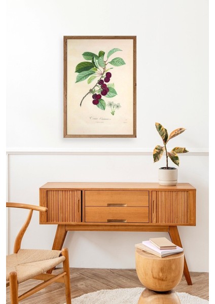 Meyveler Ahşap Çerçeveli Tablo modelleri