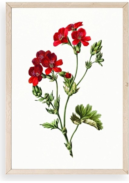 Çiçekler Ahşap Çerçeveli Tablo