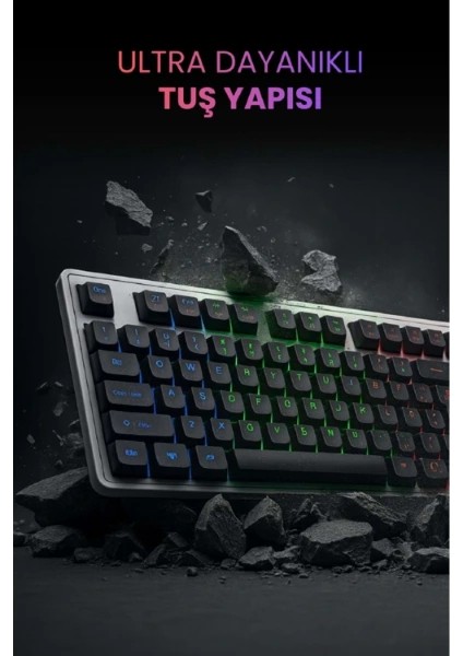 Kablolu Işıklı Gaming Standart Türkçe Q Klavye ve Mouse Seti fiyatları