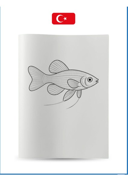 Büyük Boyama Kitabı Koleksiyon-5 Balıklar fiyatları