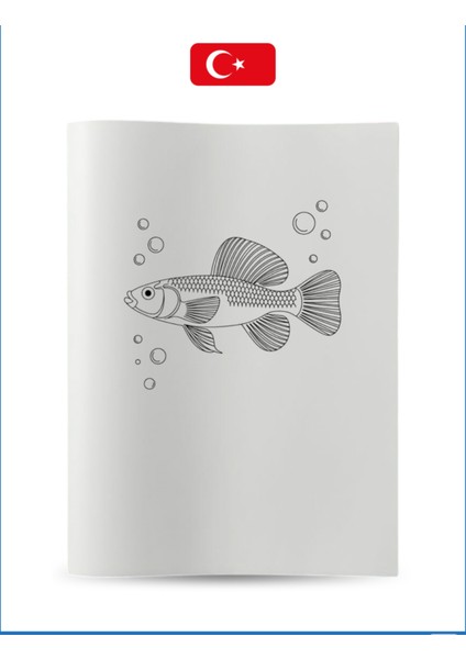 Büyük Boyama Kitabı Koleksiyon-5 Balıklar modelleri