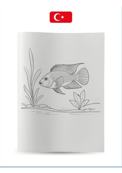 Büyük Boyama Kitabı Koleksiyon-5 Balıklar