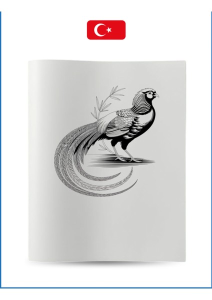 Büyük Boyama Kitabı Koleksiyon-1 Kuşlar