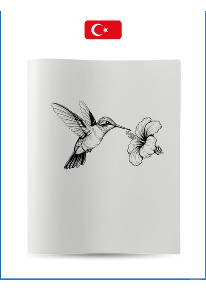 Büyük Boyama Kitabı Koleksiyon-1 Kuşlar fiyatları