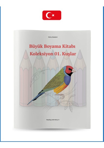 Büyük Boyama Kitabı Koleksiyon-1 Kuşlar fırsatları