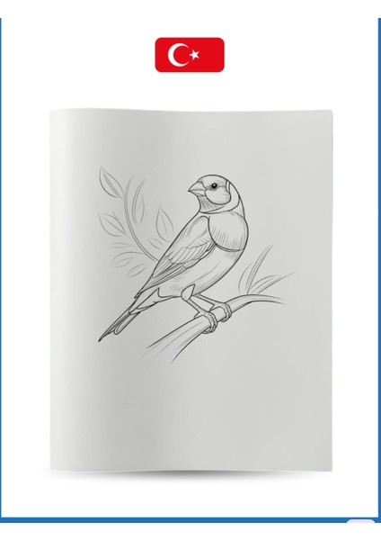 Büyük Boyama Kitabı Koleksiyon-1 Kuşlar indirimleri