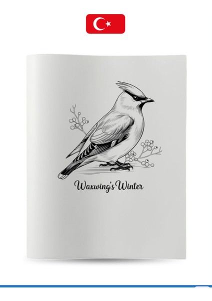 Büyük Boyama Kitabı Koleksiyon-1 Kuşlar