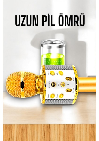 Kablosuz Bluetooth Karaoke Mikrofon USB ve Aux Girişli Yüksek Ses Kalitesi - ER001Y-53D9V7 fırsatları