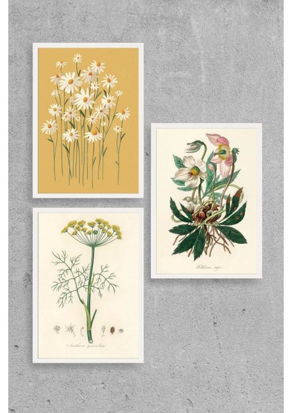 Çiçek Üçlü Ahşap Çerçeveli Tablo