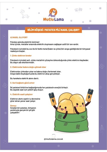 Patates Pili Deneyi | 6–12 Yaş Elektrik Üretme Stem Bilim Seti – Mutlulama fiyatları