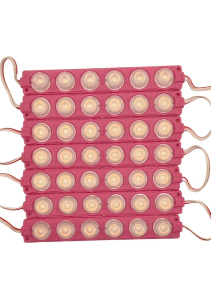 12 Volt 6 Watt 6 Lensli Pembe 3030 Smd LED Modül IP65 10 Adet Modül