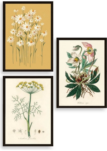 Çiçek Üçlü Ahşap Çerçeveli Tablo