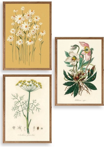 Çiçek Üçlü Ahşap Çerçeveli Tablo