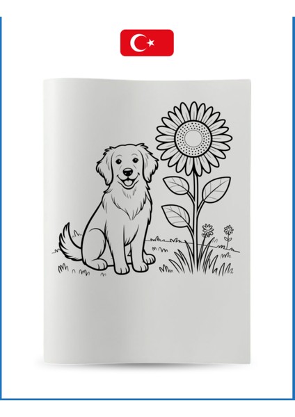 Büyük Boy Boyama Koleksiyon-10 Hayvanlar fırsatları