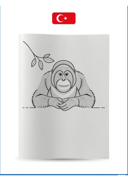 Büyük Boy Boyama Koleksiyon-10 Hayvanlar indirimleri