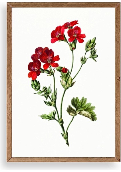 Çiçekler Ahşap Çerçeveli Tablo