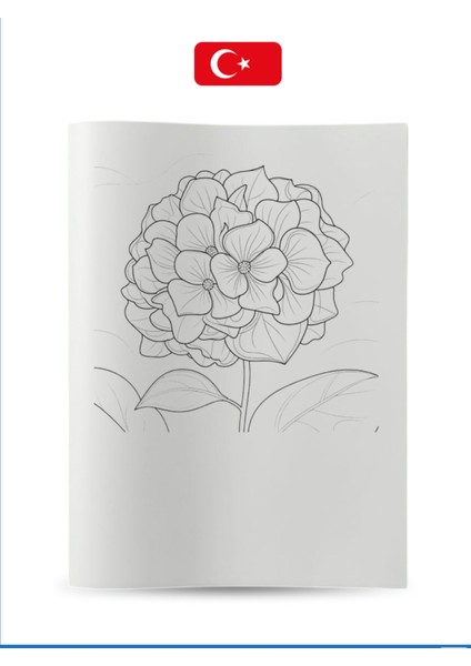 Büyük Boyama Kitabı Koleksiyon-3 Çiçekler indirimleri