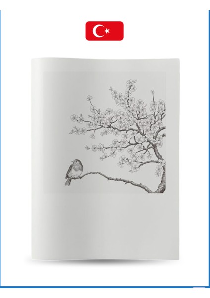 Büyük Boyama Kitabı Koleksiyon-8 Ağaçlar modelleri