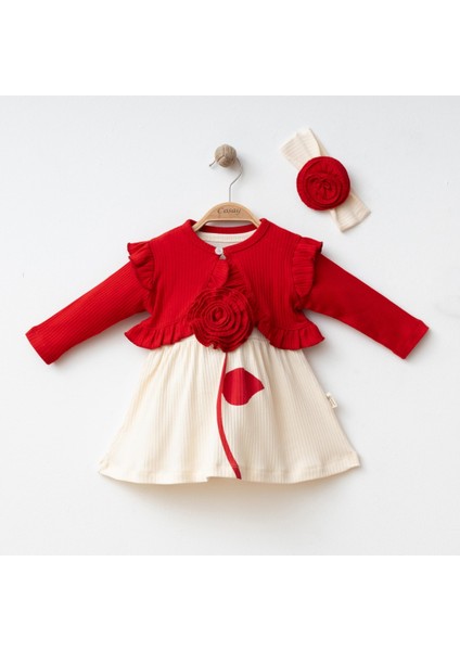 Kız Bebek 9-12-18 Ay Güllü Bolerolu Şık Elbise modelleri