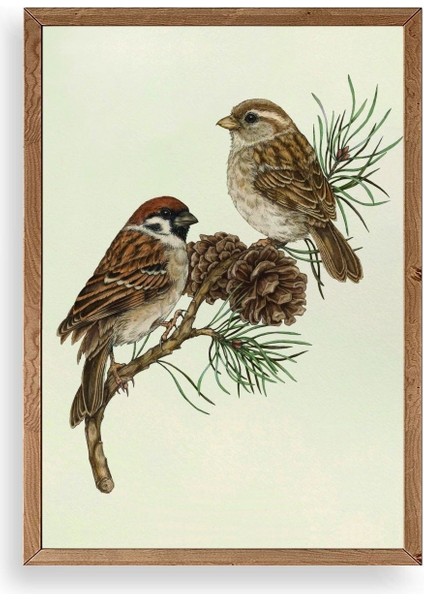 Kuş Ahşap Çerçeveli Tablo