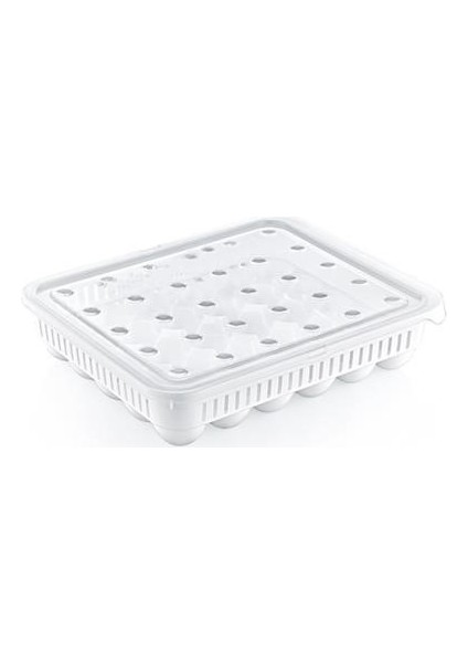 Buffer® 30LU Yumurta Saklama Kabı