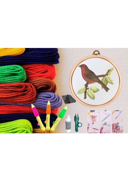 Punch Seti Nakış Seti Kasnaklı Kendin Yap Seti Seri 24