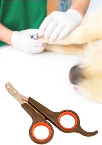 Buffer Küçük Çelik Uçlu Kedi Köpek Evcil Hayvan Tırnak Makası Pati Bakım Aleti Ergonomik Kaymaz Sap fırsatları