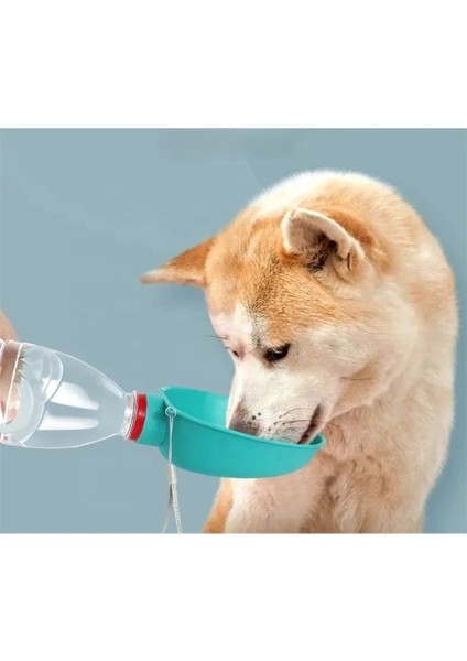 Evcil Hayvan Takılabilir Suluk Başlığı fırsatları