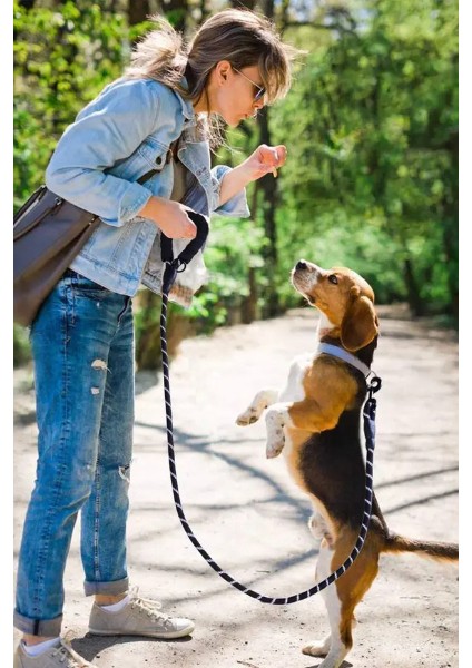 Evcil Hayvan Reflektörlü Fitil Gezdirme Tasması 12 mm x 120 cm fırsatları