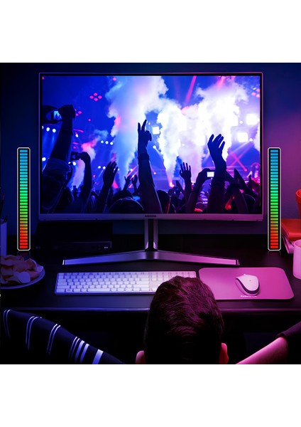 Rgb Sese Duyarlı Taşınabilir Ekolayzer LED Çubuk modelleri