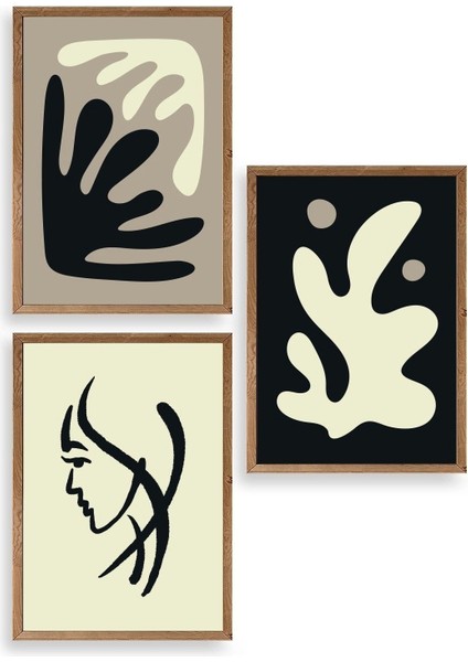 Soyut Üçlü Ahşap Çerçeveli Tablo