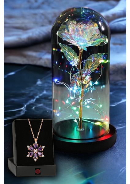 Rgb LED Işıklı Sonsuzluk Gülü ve Lotus Çiçekli Dekoratif Fanus