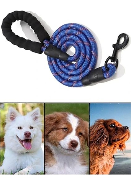 Evcil Hayvan Reflektörlü Fitil Gezdirme Tasması 12 mm x 120 cm indirimleri