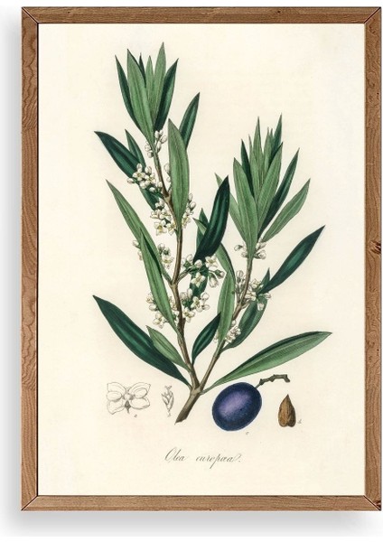 Yaprak Ahşap Çerçeveli Tablo