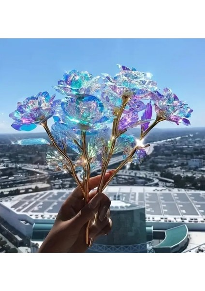 Solmayan Sonsuzluk Gülü 5’li Set, Sevgi Dolu Anneler Günü Hediyesi fiyatları