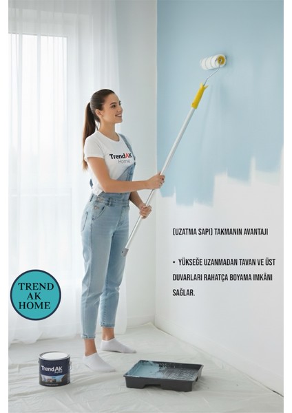 2’li Lüks 20 cm Boya Rulosu-Lüks Kestirme Boya Fırçası indirimleri