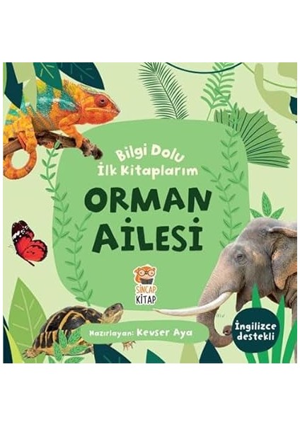 Hayvanlar - Nokta Birleştirme + Bilgi Dolu Ilk Kitaplarım - Orman Ailesi (Kapak Değişebilir) + 7 Kitap Set fiyatları
