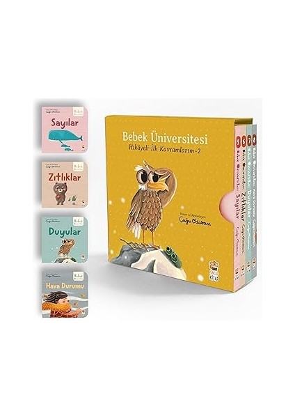 Haydi Durma, Dinozoru Boya! (Kapak Değişebilir) + Atlas'ın Origami Günlüğü: Katlarım Maceraya Atılırım + 6 Kitap Set