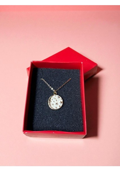 Fanus Içinde Rgb LED Işıklı Solmayan Güller ve Gökyüzü Kolye Seti fiyatları