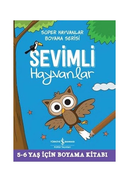 Sağ ve Sol Beyin Geliştirme ve Güçlendirme Etkinlikleri - Süper Labirent: 3 - 6 Yaş + Senin Seçimin + 6 Kitap Set