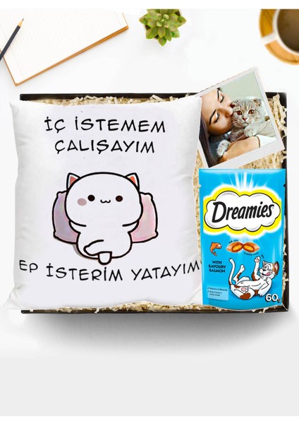 Rüya Kedi Yastık ve Ödül Maması Hediye Seti, Sevimli ve Şık Tamamlayıcılar