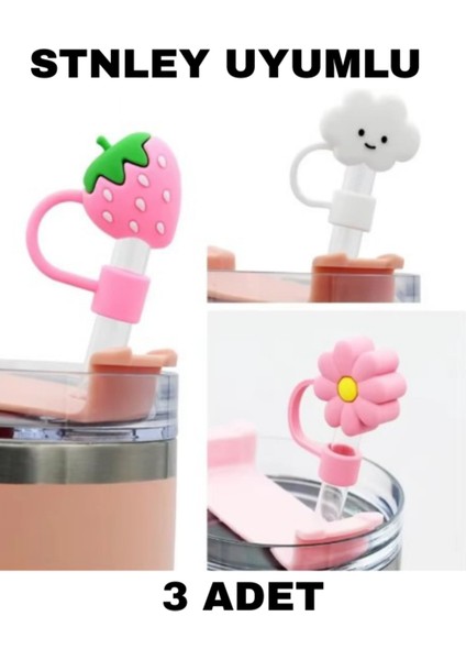 3'lü Stnley Quencher Termos Çiçek Aksesuarı ve Pipet Kılıfı Seti