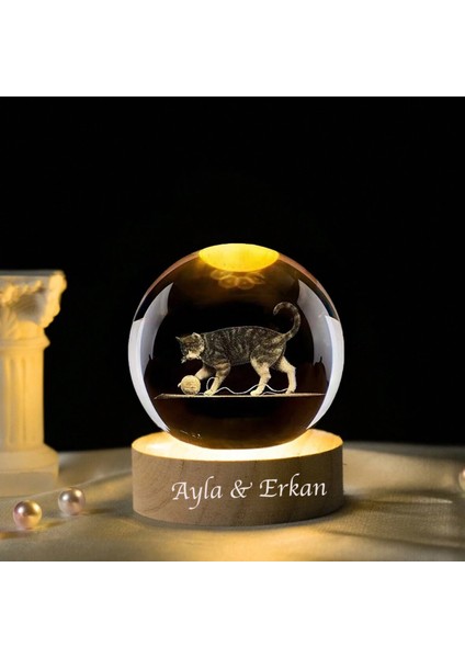 Kişiye Özel Işıklı Ahşap Kedi Temalı Cam Küre 8X6CM
