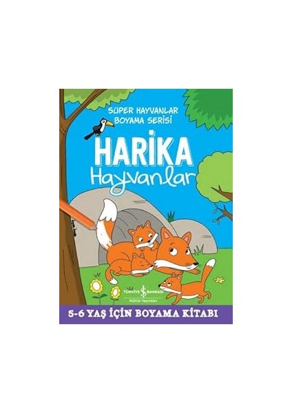 Ilk Oyun Hamuru Kitabım - Sayılar + 9 Kitap Set