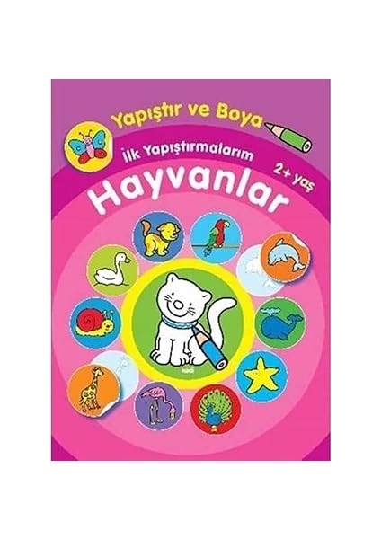 Sağ-Sol Beyin Geliştirme Etkinlikleri: Dikkat Geliştirme + Dünyayı Öğreniyorum - Ormanı Keşfet + 10 Kitap Set