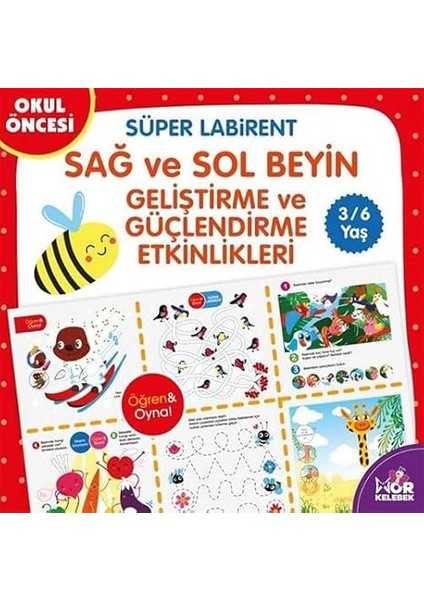 Eğer Bugün Ormana Gidersen: 100'DEN Fazla Ara-Bul Etkinliğiyle - Kahverengi Ayı Ormanı : 100'DEN Fazla Ara-Bul Etkinl... + 5 Kitap Set indirimleri