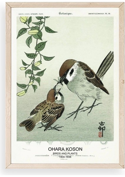 Kuşlar Ahşap Çerçeveli Tablo